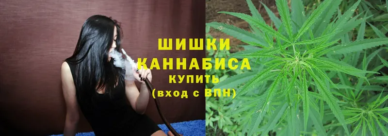 Канабис OG Kush  Дальнегорск 